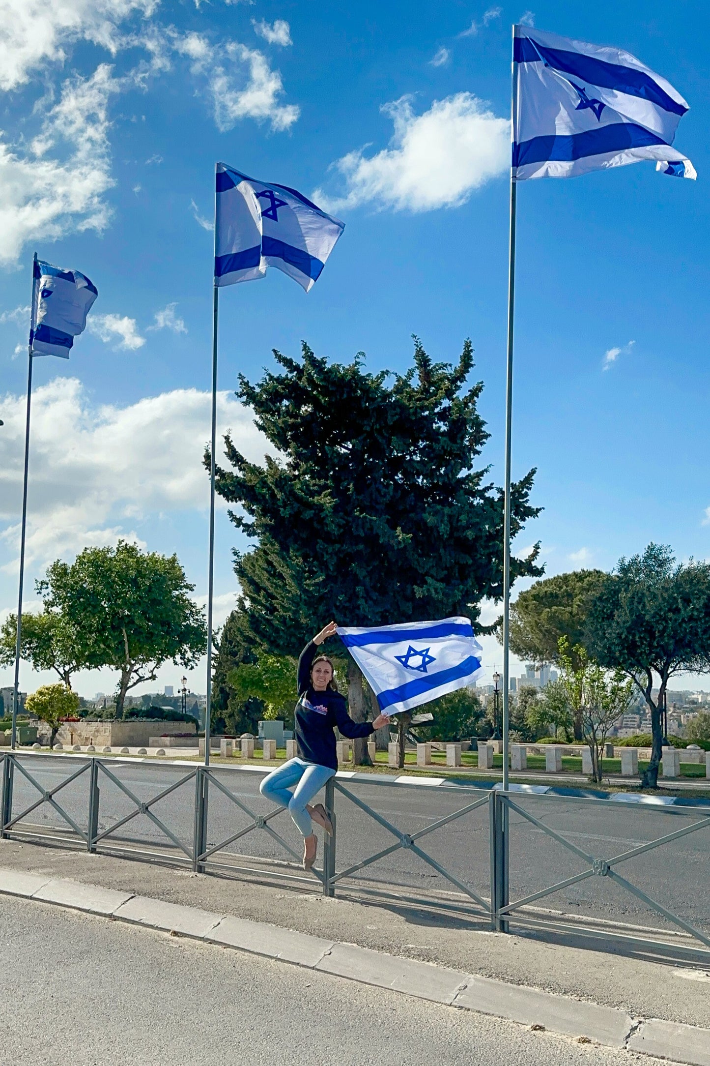 Bandeira de Israel, Médio